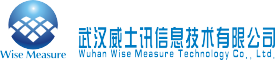 wisemeasure